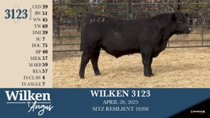 Lot #3123 - WILKEN 3123