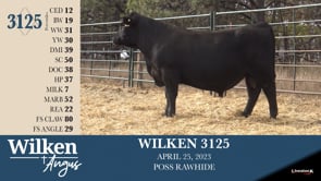 Lot #3125 - WILKEN 3125