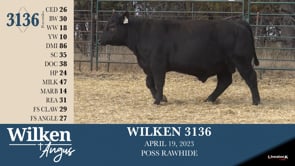 Lot #3136 - WILKEN 3136