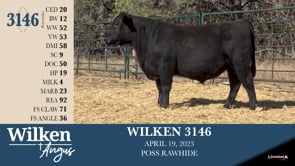 Lot #3146 - WILKEN 3146