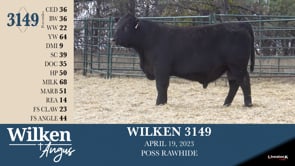 Lot #3149 - WILKEN 3149