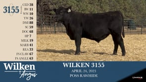 Lot #3155 - WILKEN 3155
