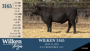 Lot #3165 - WILKEN 3165