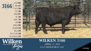 Lot #3166 - WILKEN 3166