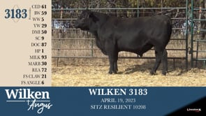 Lot #3183 - WILKEN 3183