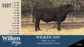 Lot #3187 - WILKEN 3187