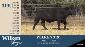 Lot #3191 - WILKEN 3191