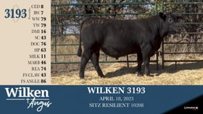 Lot #3193 - WILKEN 3193