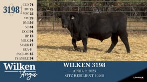 Lot #3198 - WILKEN 3198