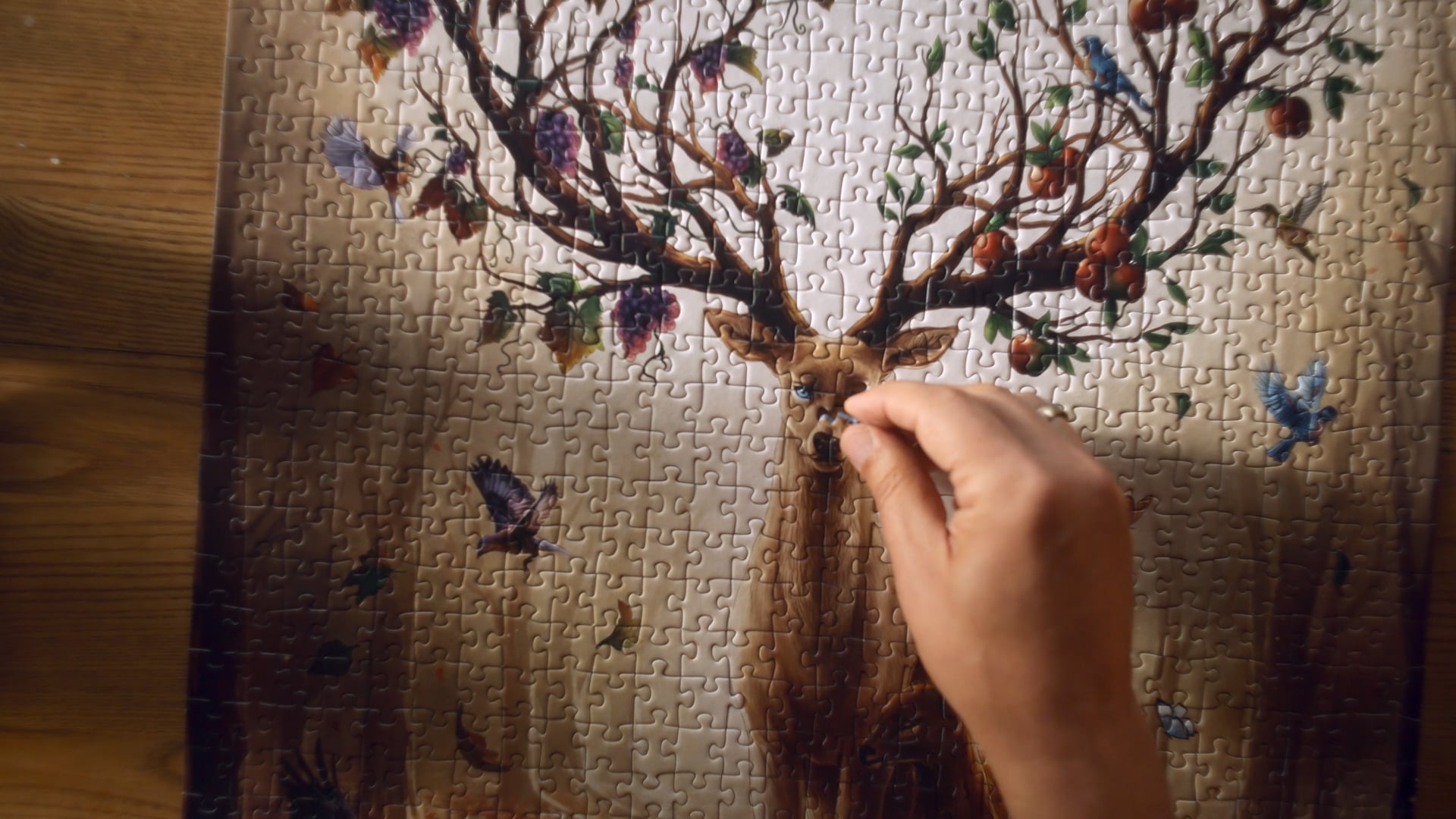 Ravensburger - Magischer Hirsch