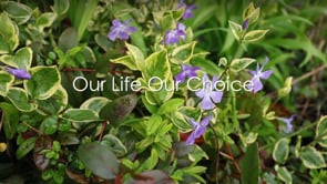 Jackie Cheeseman Story (5 min 20sec)