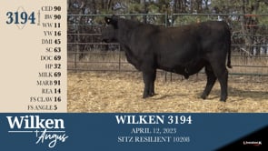 Lot #3194 - WILKEN 3194