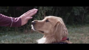 Red Epic Footage, Films, and Fun