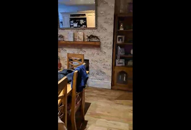 Video 1: Lounge with fire place
