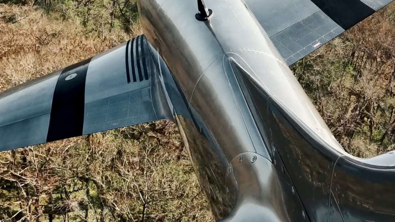 Dogfight