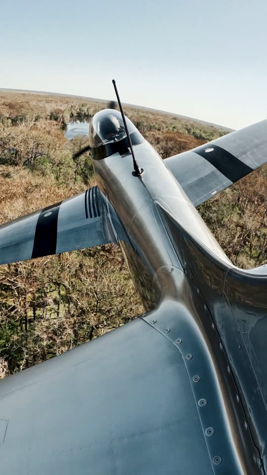 Dogfight