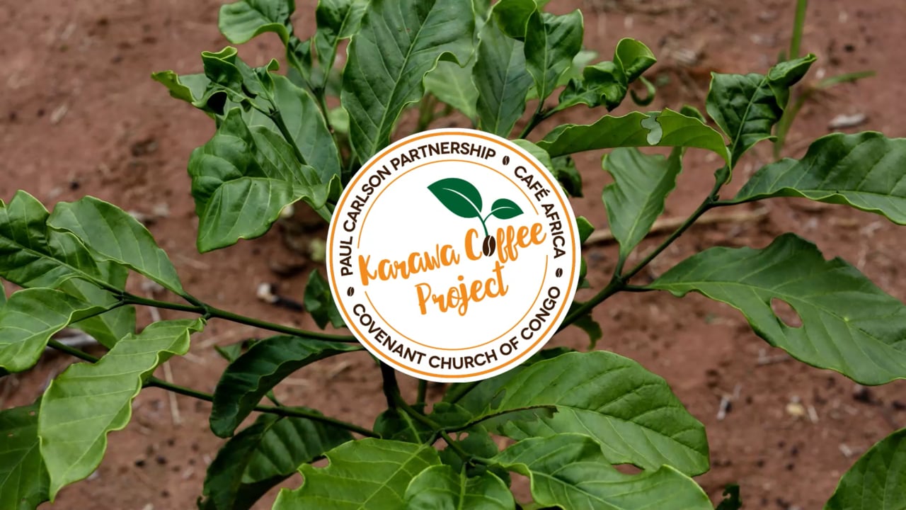 2024 Karawa Coffee Project Update