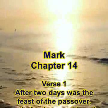 Mark Chapter 14