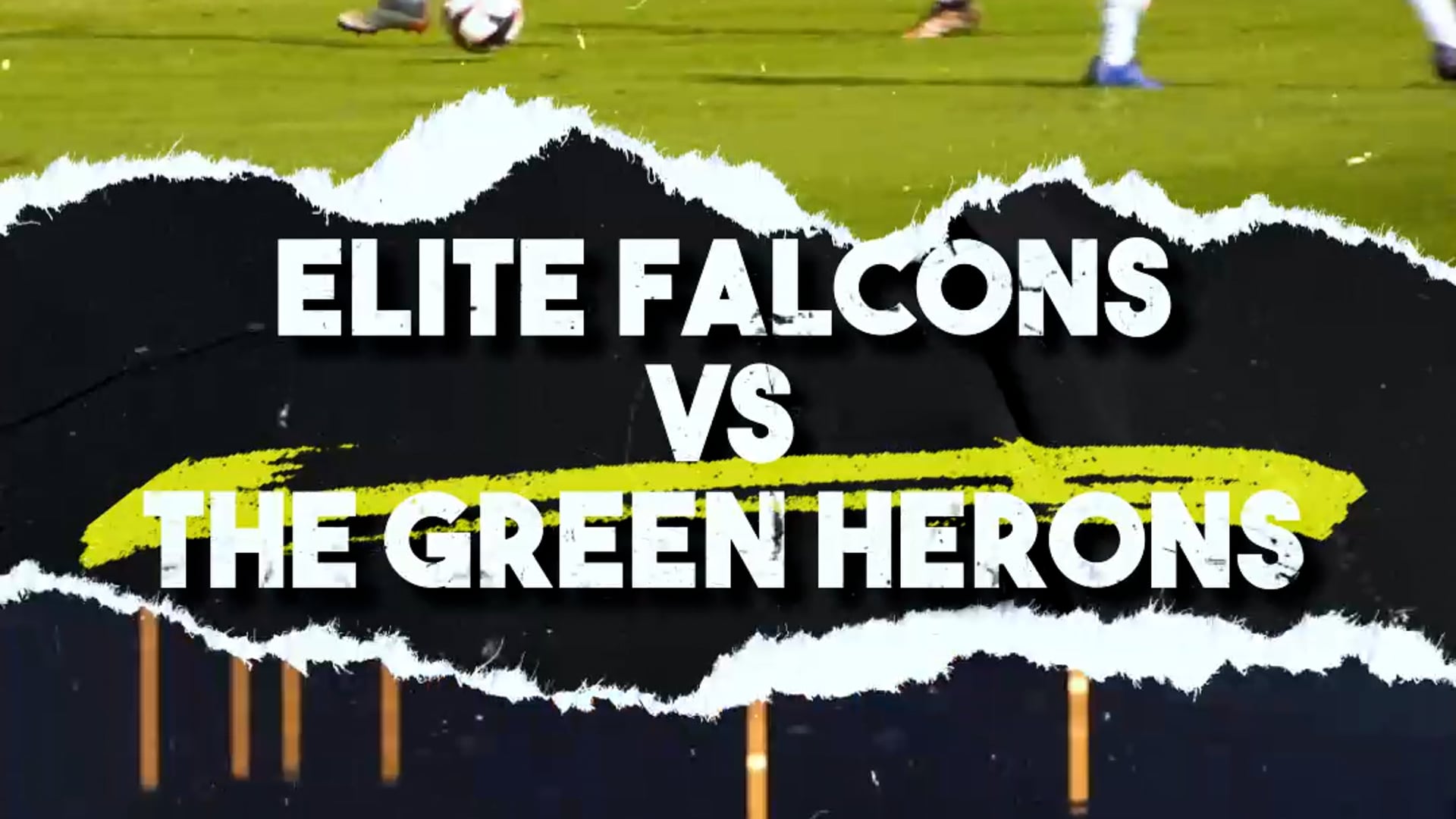 EF VS Green Herons Vertical.mp4