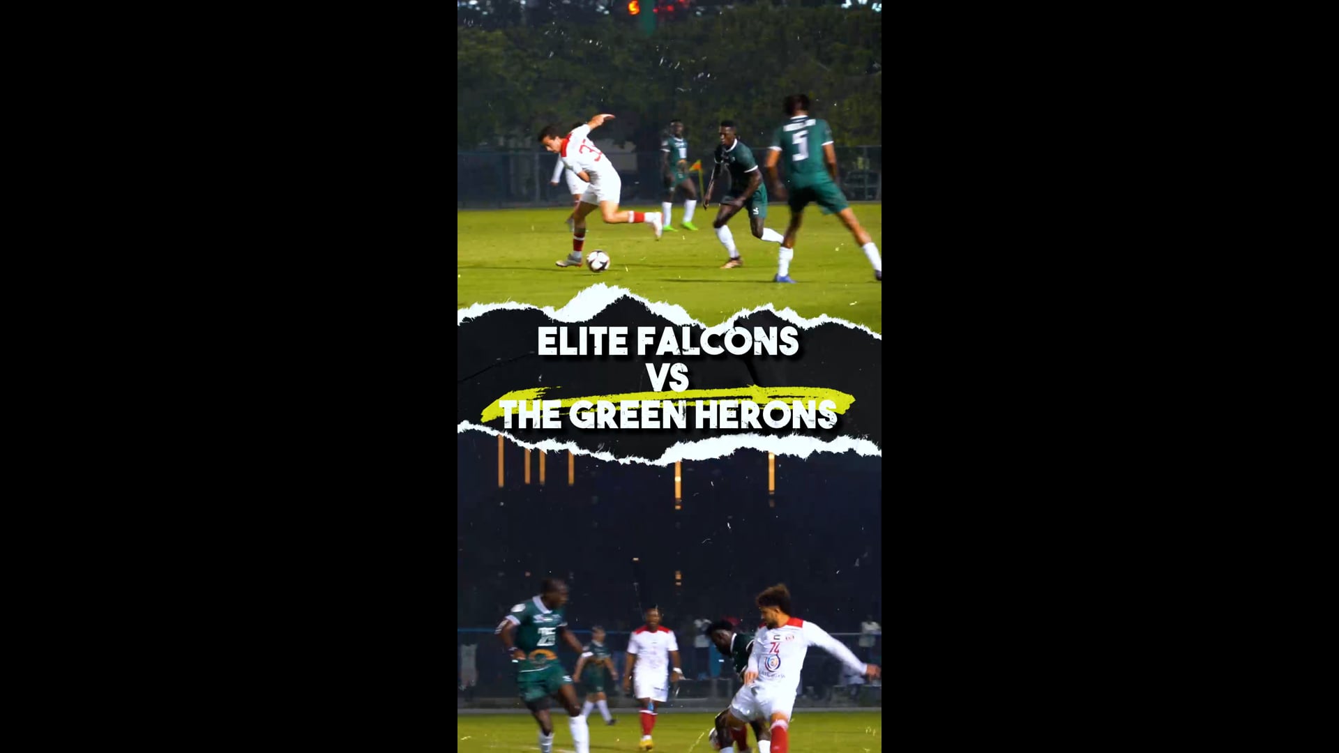 EF VS Green Herons Vertical.mp4