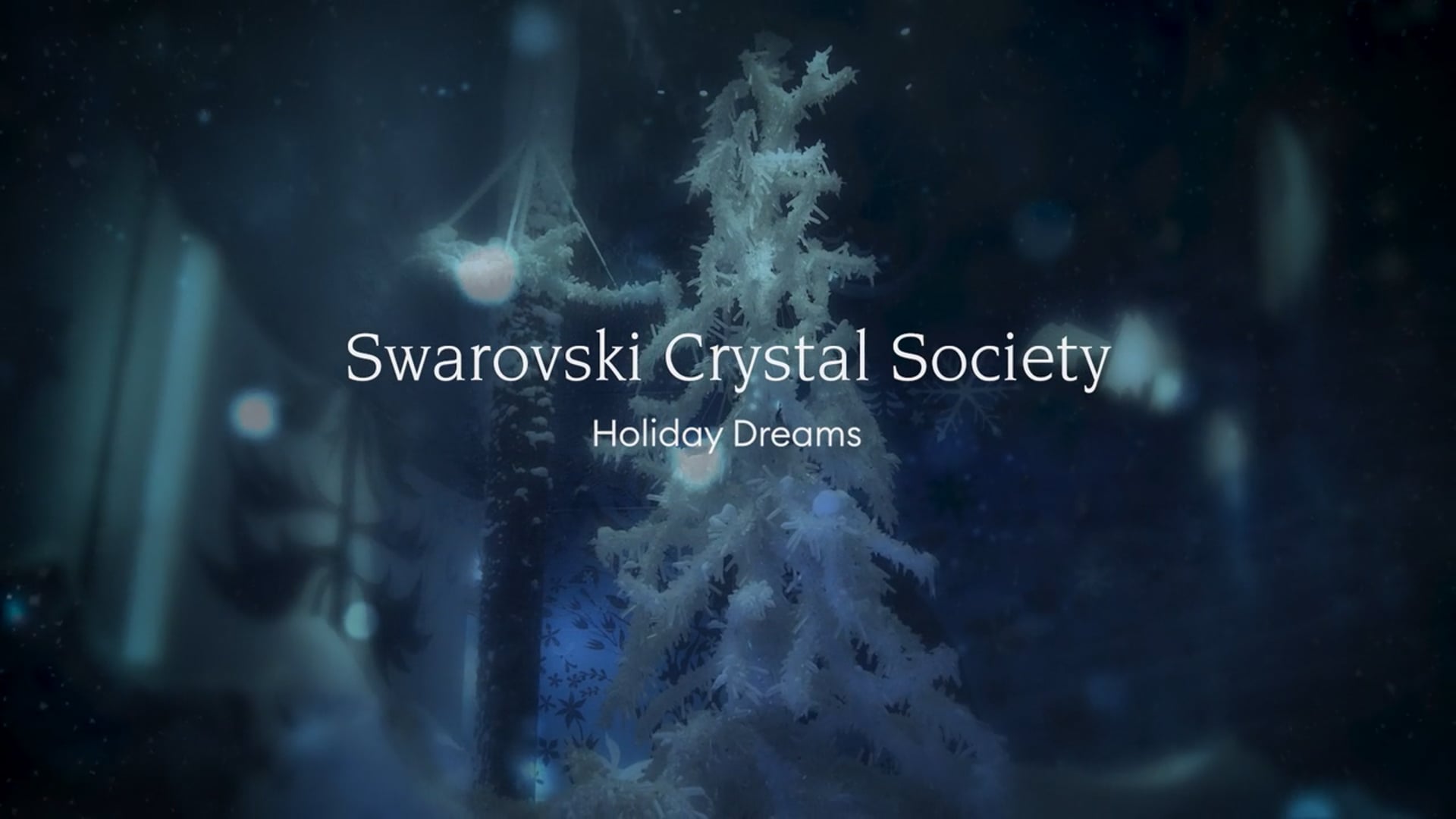 SCS Holiday Dreams  2024 (Sub EN)