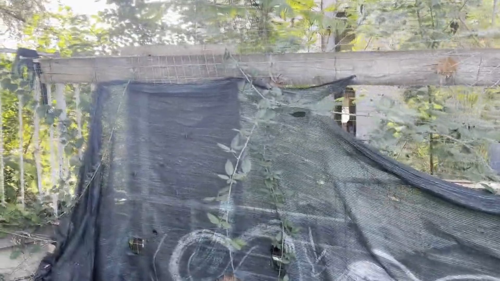 Nuova occupazione abusiva: l’ira di Di Benedetto