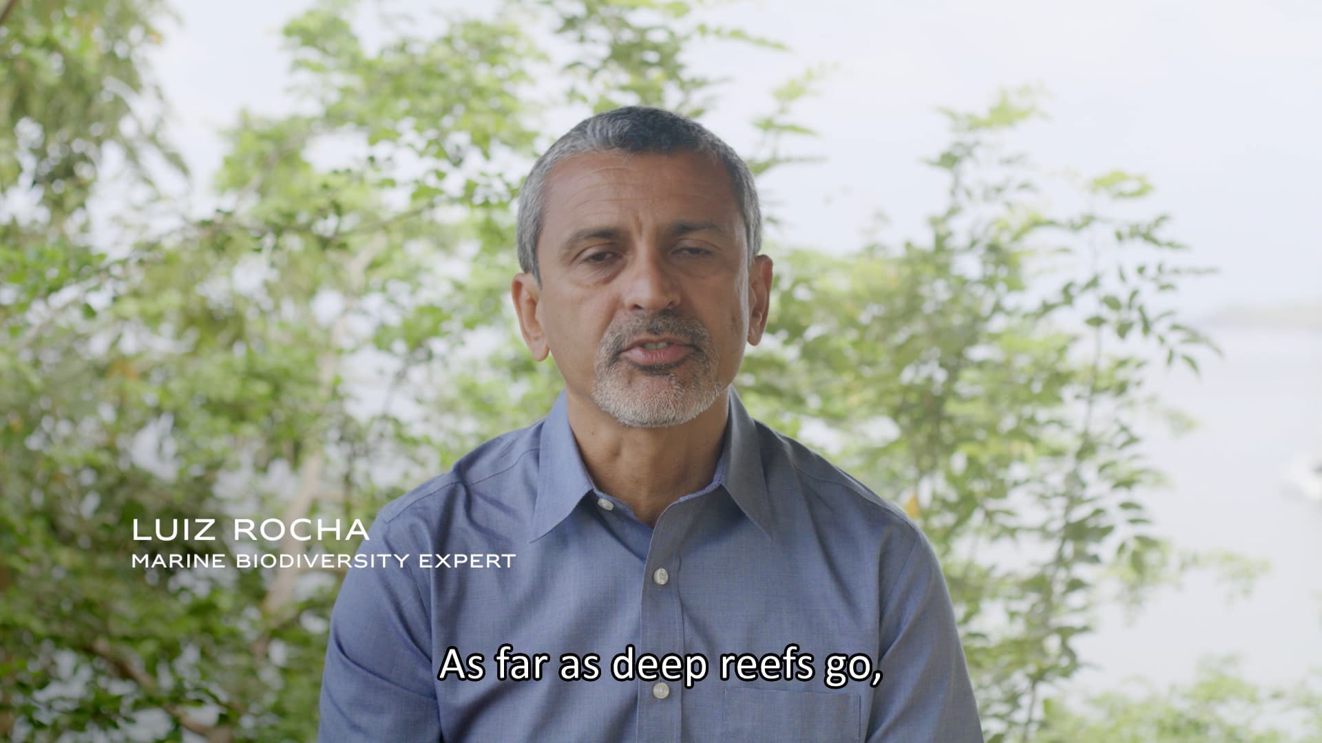 Under the Pole: Deeplife - Guadeloupe Expedition
