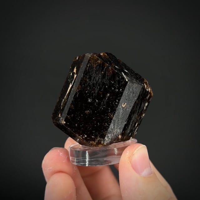 Dravite Tourmaline (famous locale)