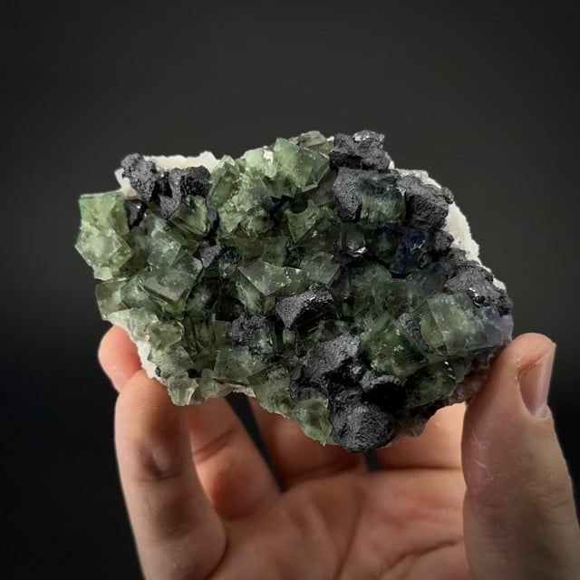 Fluorite with Galena