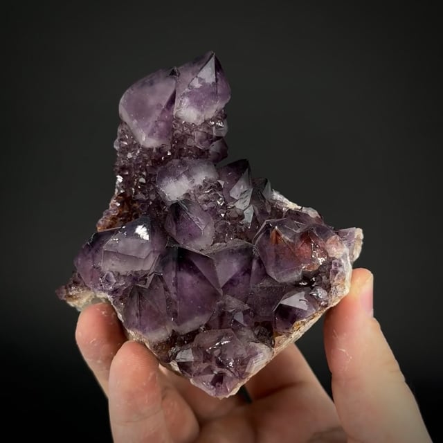 Cactus" Amethyst | Boekenhouthoek, Mkobola, Mpumalanga, South Africa
