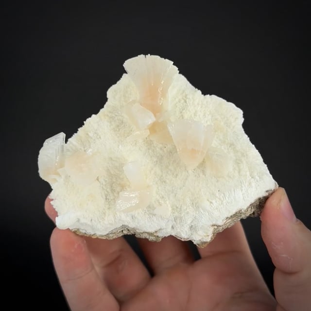 Heulandite-Ca on Mordenite