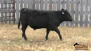 DDA Great Plains 16A