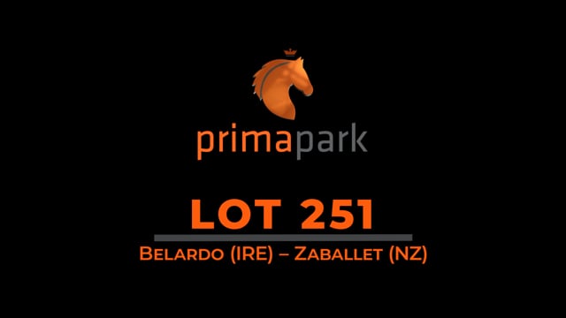 Lot 251