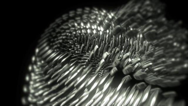 shapeshifter - after effects