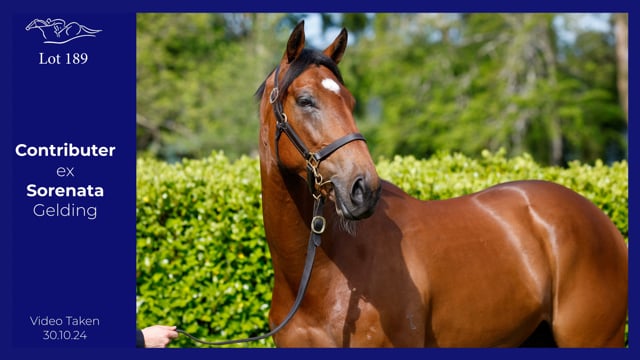 Lot 189