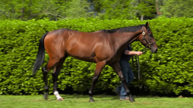 Lot 306