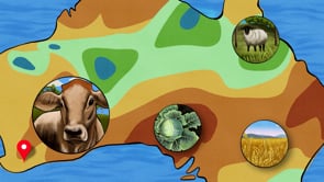 Science explainer Tracing food origin