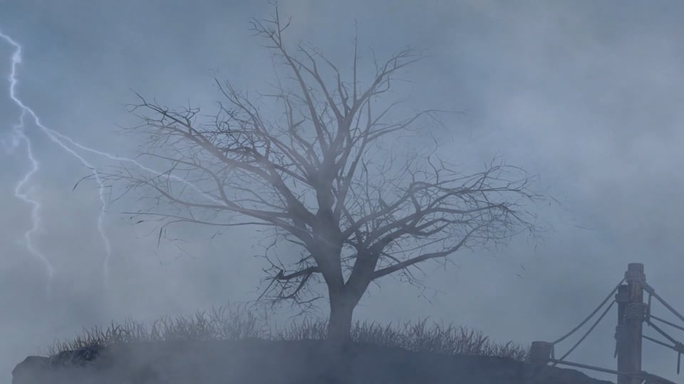 What does Romans 11:1-24 mean?