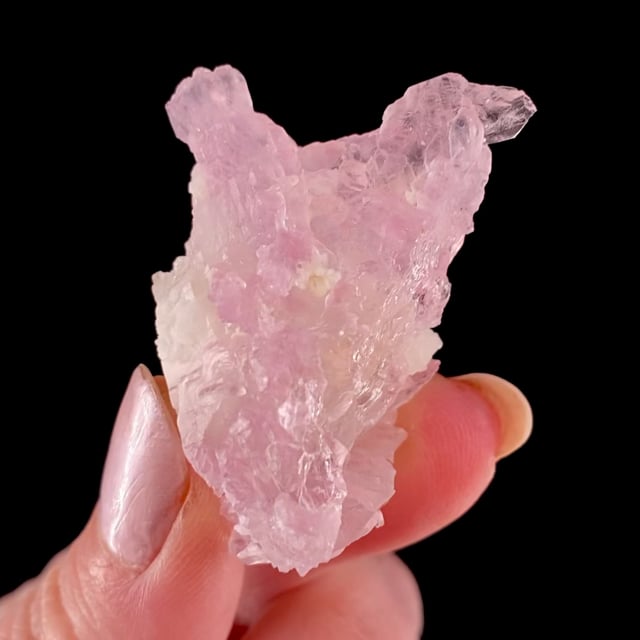 Quartz var: Rose on Quartz