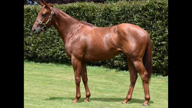 Lot 25