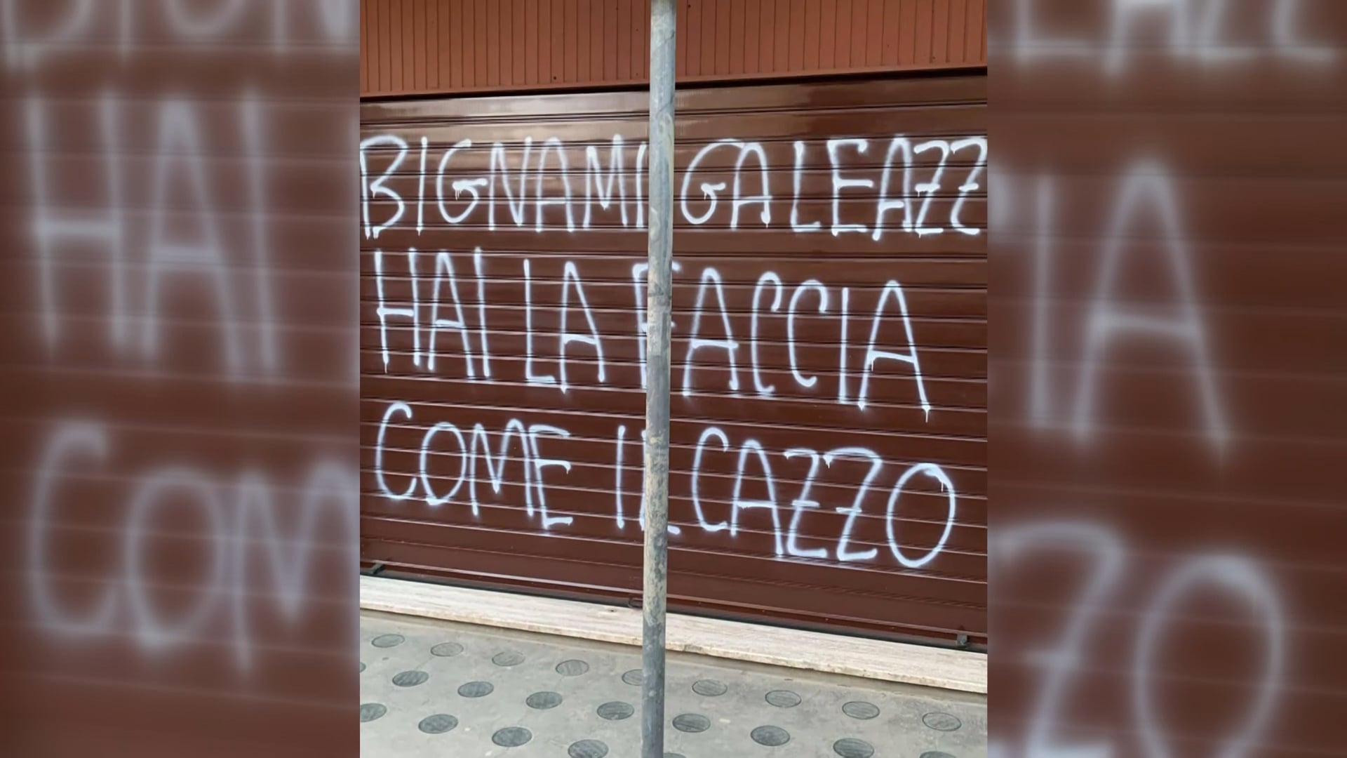 Scritte “lombrosiane” contro Bignami, che la prende in ridere