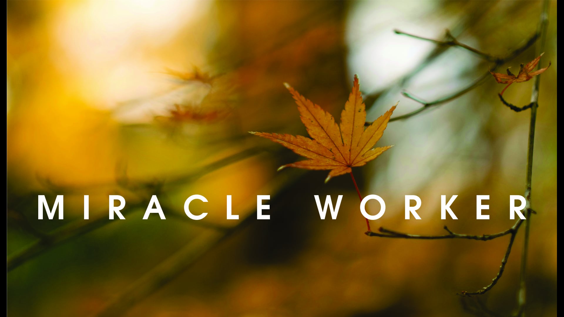 11.13.24 - Two Blind Men And A Mute