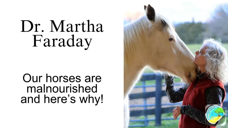 Our Horses are malnourished, and here's why!