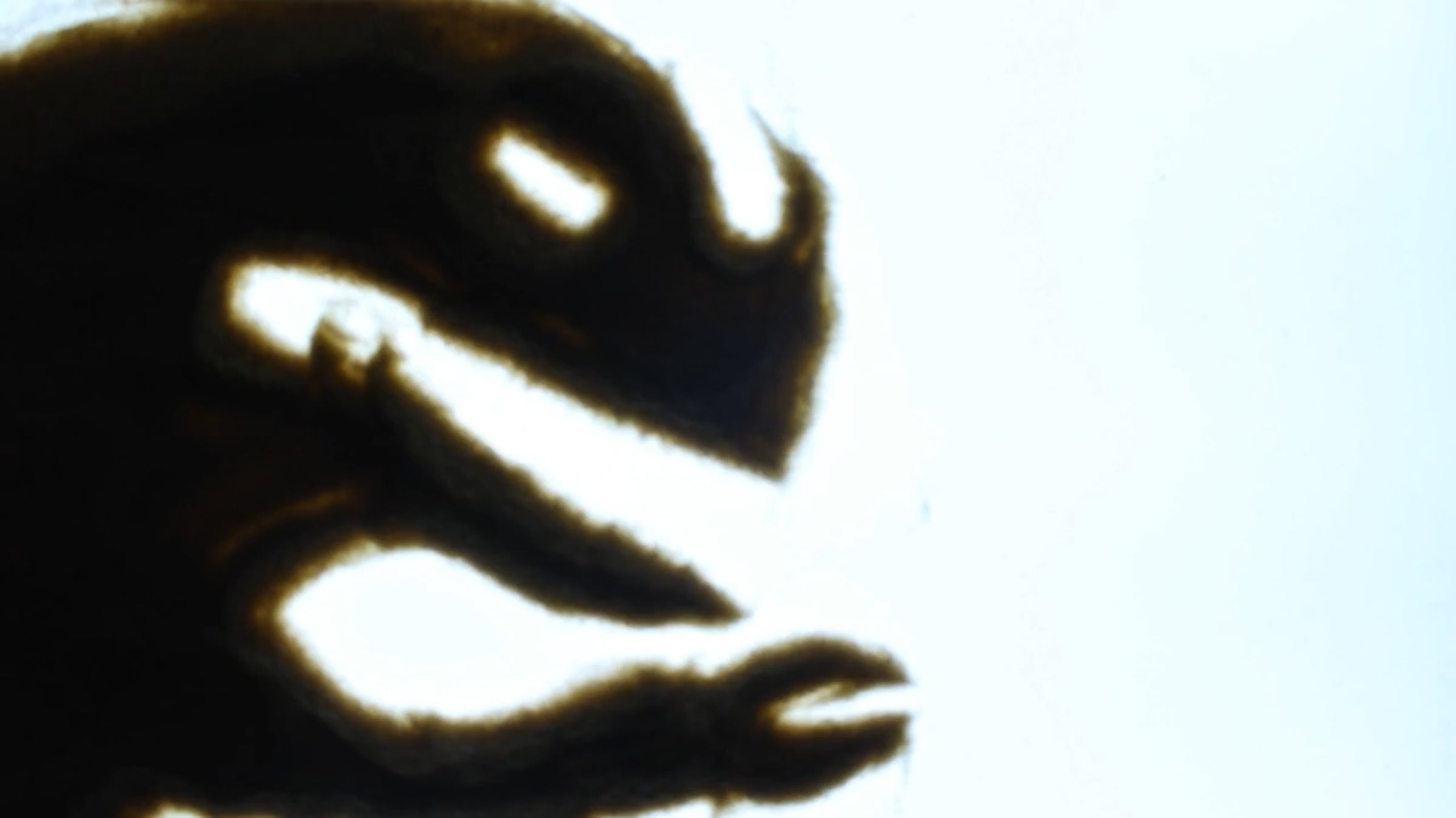 Sand Beast (Sand Animation) | Videos & Movies on Vimeo