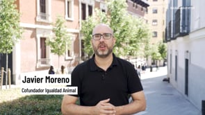 Se buscan personas comprometidas con los animales