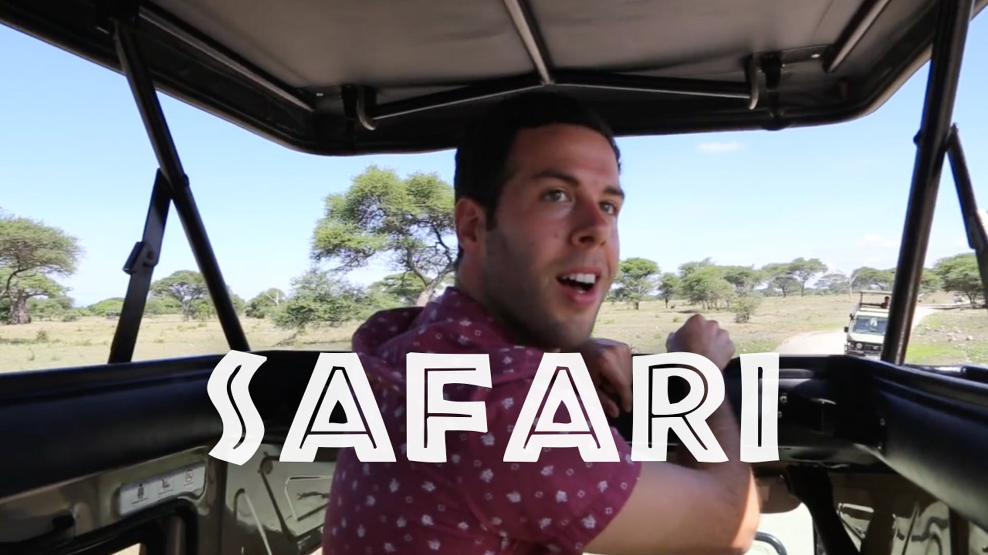 Safari