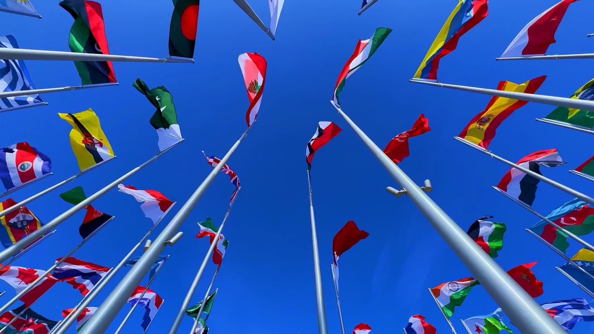 https://i.vimeocdn.com/video/1951029883-0b1b109aa3329c02d164d6b6d4045c8e1863e26f5e68432c44e66b14922e4cfb-d