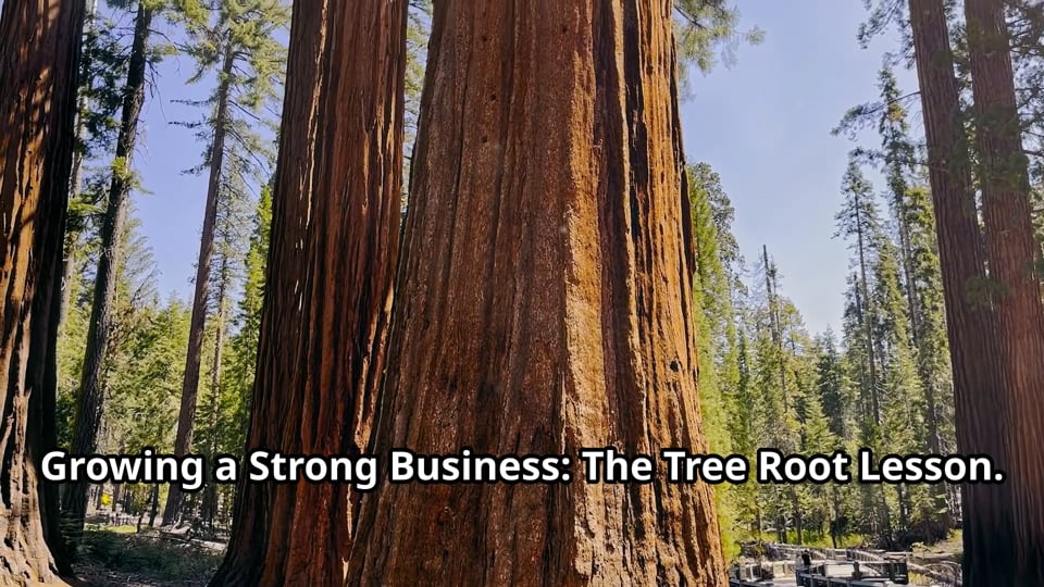 Growing a Strong Business: The Tree Root Lesson.