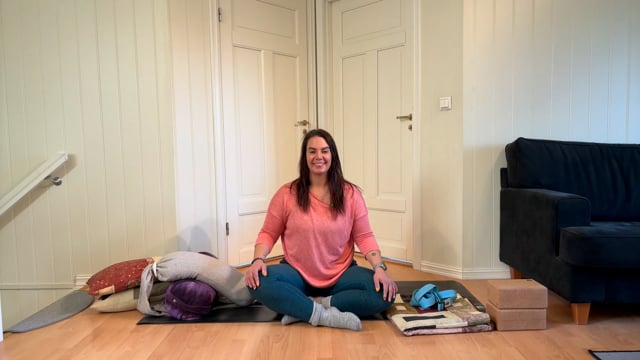 Restorative intro kurs