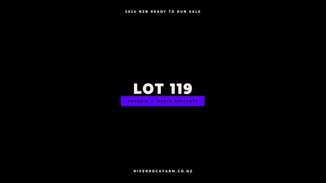 Lot 119